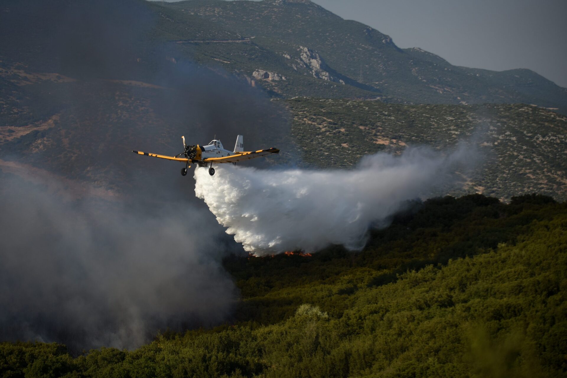 πυρκαγιά