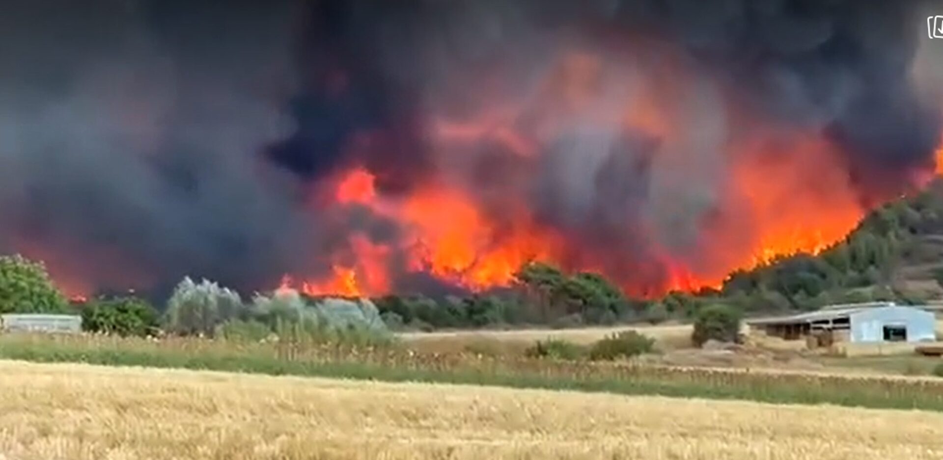 Πυροσβεστική φωτιά πυρκαγιά Αλεξανδρούπολη