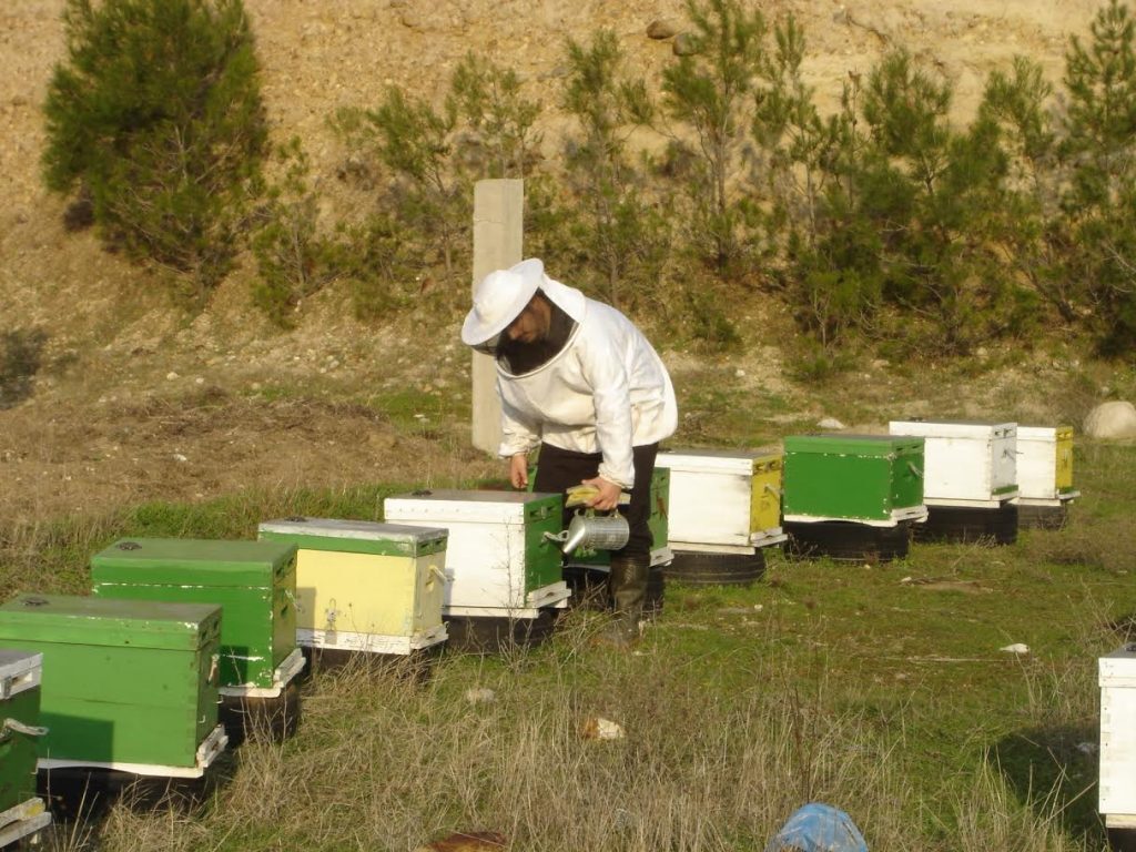 μελισσοκομικό πάρκο Σουφλίου, μελισσια μέλισσα