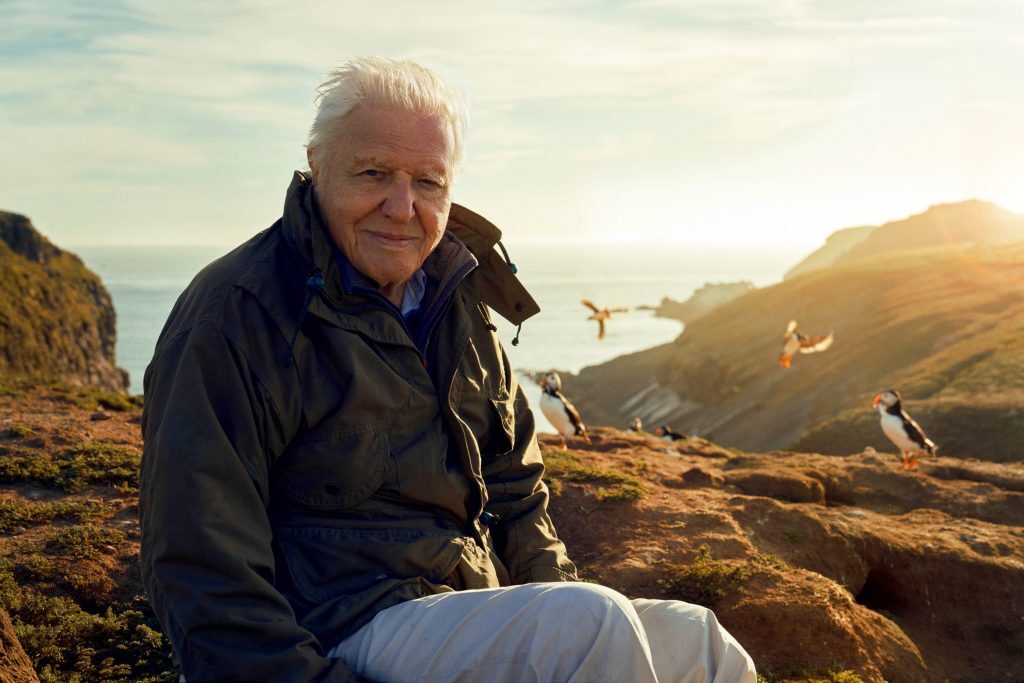 Planet Earth David Attenborough