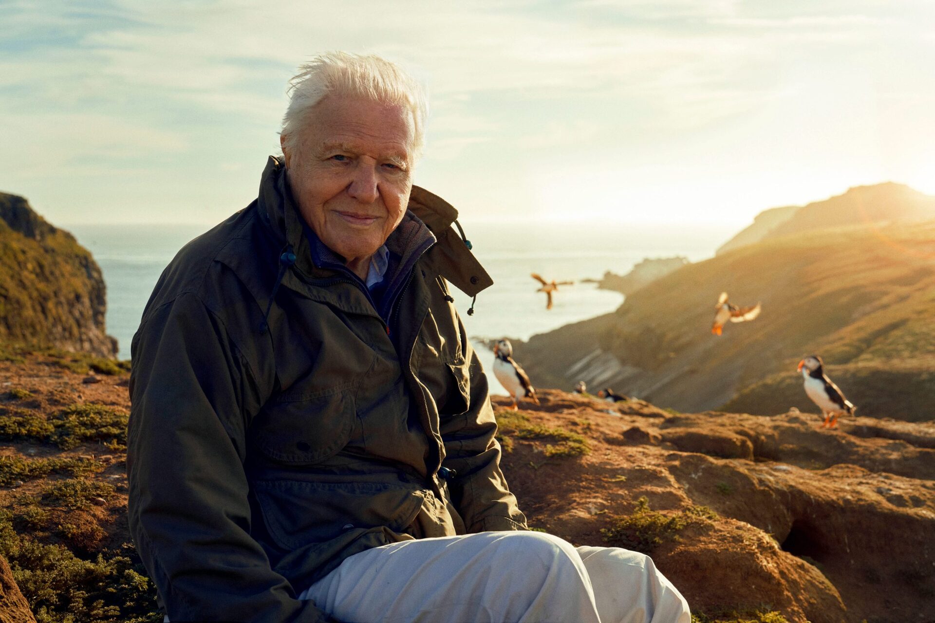 Planet Earth David Attenborough