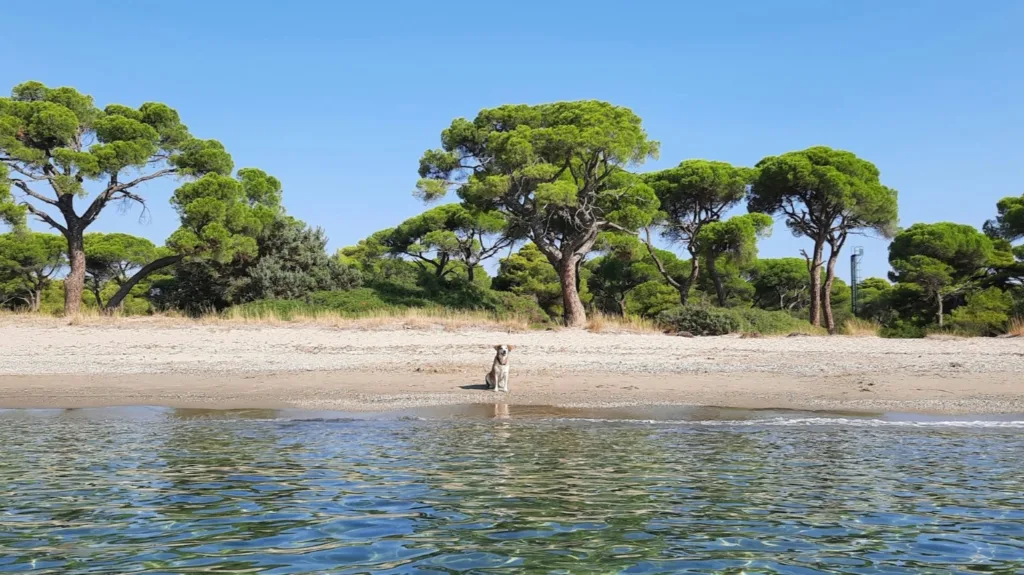 παραλίες Αττικής