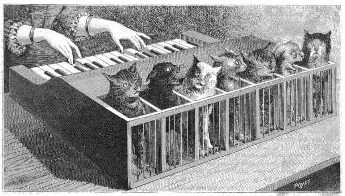 Cat Piano