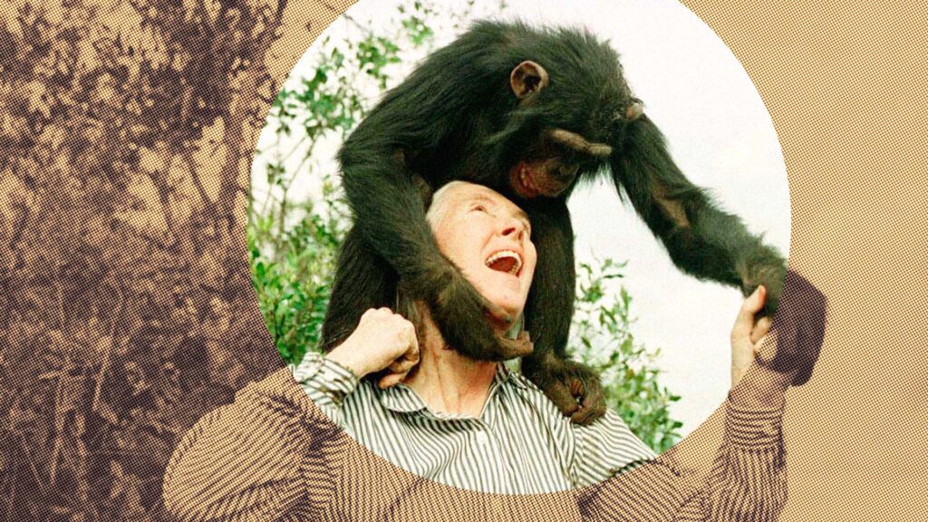Jane Goodall