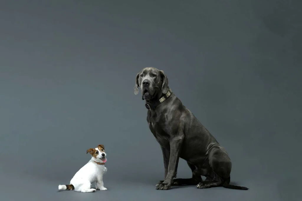 λατρεία του μικρού